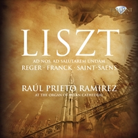 Liszt & Reger & Franck & Saint-Saëns Organ Works