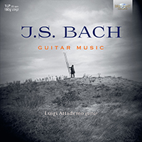 J.S. Bach: Guitar Music (1)