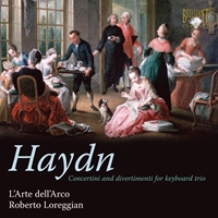 Haydn: Concertini and Divertimenti