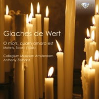 De Wert: Motets, Book I (1566)