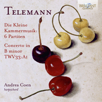 Telemann: Die Kleine Kammermusik, 6 Partiten, Concerto in B Minor