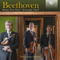 Beethoven: String Trio Op.3, Serenade Op.8