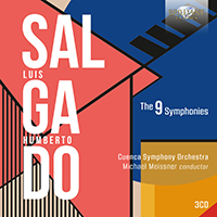 Salgado: The 9 Symphonies